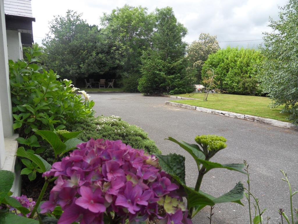 Ethan House Holiday Suites Killarney Ngoại thất bức ảnh